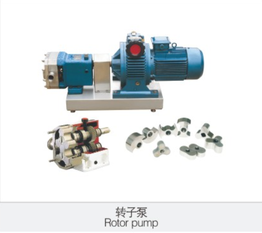轉子(zǐ)泵